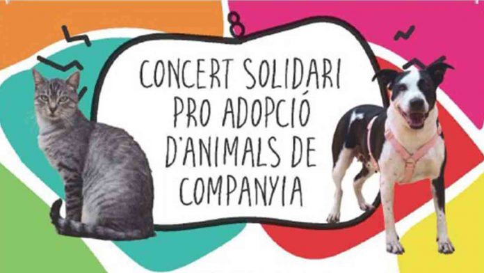 Barcelona organiza un concierto solidario con adopción de animales de compañía