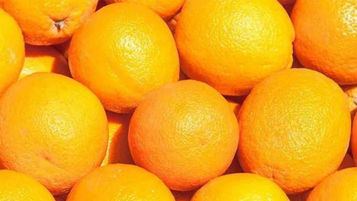 Intervienen en Barcelona 20 toneladas de naranjas contaminadas con productos prohibidos