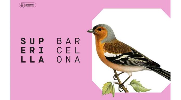 Todo listo para iniciar la transformación de la Superilla Eixample Todo listo para iniciar la transformación de la Superilla Eixample