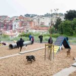 Áreas de recreo para perros en Barcelona