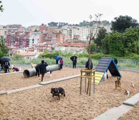 Áreas de recreo para perros en Barcelona Áreas de recreo para perros en Barcelona