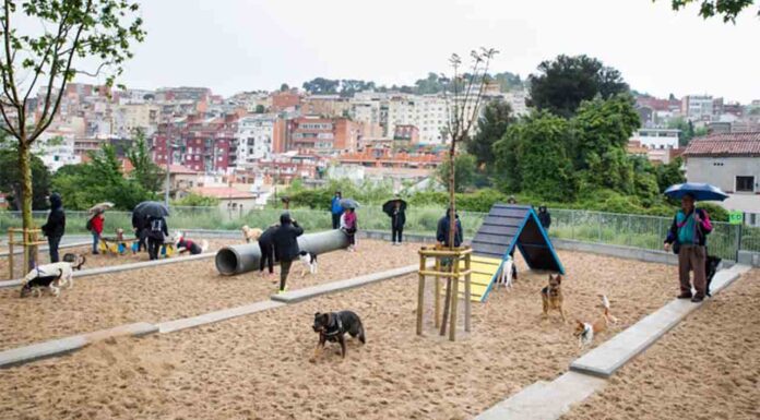 Áreas de recreo para perros en Barcelona Áreas de recreo para perros en Barcelona