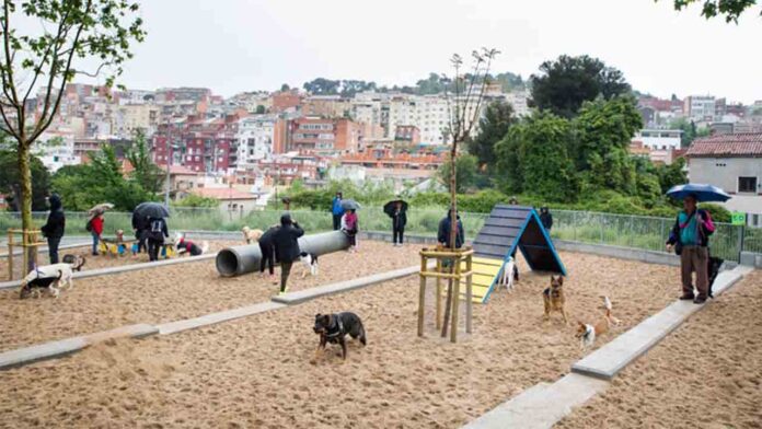 Áreas de recreo para perros en Barcelona