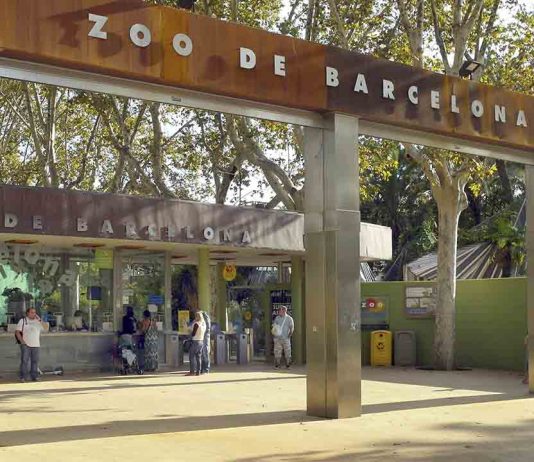 El Zoo de Barcelona divulgará sobre la tenencia responsable de animales zoo-barcelona-divulgara-sobre-tenencia-responsable-de-animales/