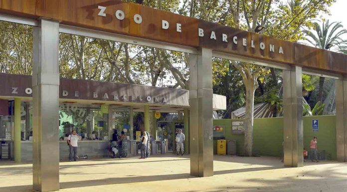 El Zoo de Barcelona divulgará sobre la tenencia responsable de animales zoo-barcelona-divulgara-sobre-tenencia-responsable-de-animales/