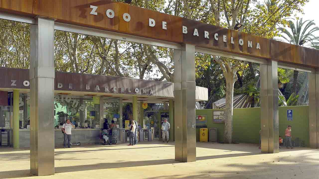 zoo-barcelona-divulgara-sobre-tenencia-responsable-de-animales/