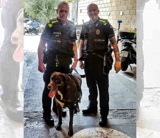 La Guardia Urbana rescata a un perro abandonado en un piso de Ciutat Vella La Guardia Urbana rescata a un perro abandonado en un piso de Ciutat Vella