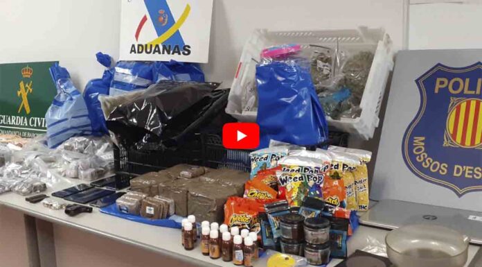 Detienen una pareja en Sant Adrià de Besòs que enviaba droga oculta en juguetes Detienen una pareja en Sant Adrià de Besòs que enviaba droga oculta en juguetes