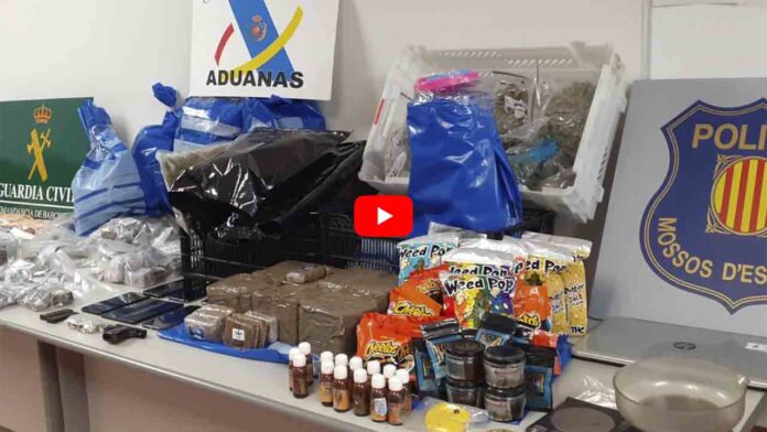 Detienen una pareja en Sant Adrià de Besòs que enviaba droga oculta en juguetes