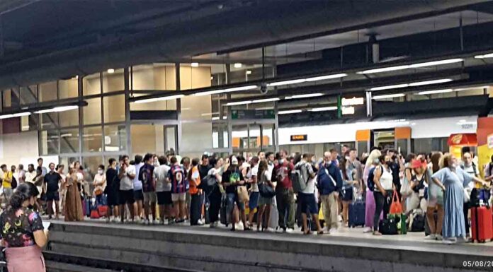 Suspendido el AVE entre Barcelona, figueres y Madrid por un robo de cable Suspendido el AVE entre Barcelona, figueres y Madrid por un robo de cable