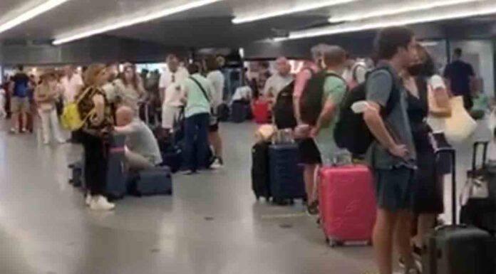Detenido por agredir a tres vigilantes de seguridad de la estación de Sants Un tren Avlo Madrid-Barcelona se queda 3 horas parado por una avería