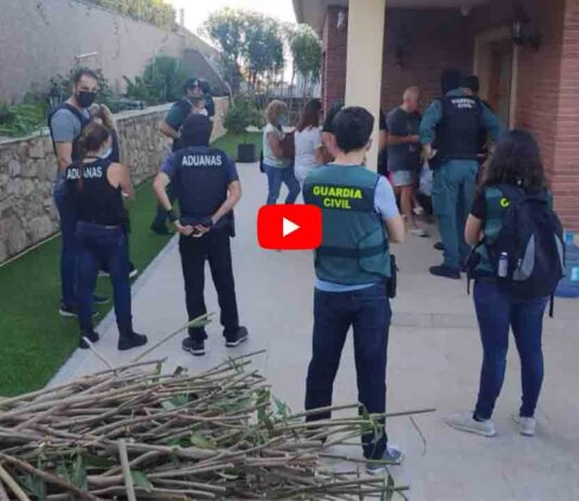 Incautan 843 botellas de gas refrigerante ilegal a una organización rusa Incautan 843 botellas de gas refrigerante ilegal a una organización rusa