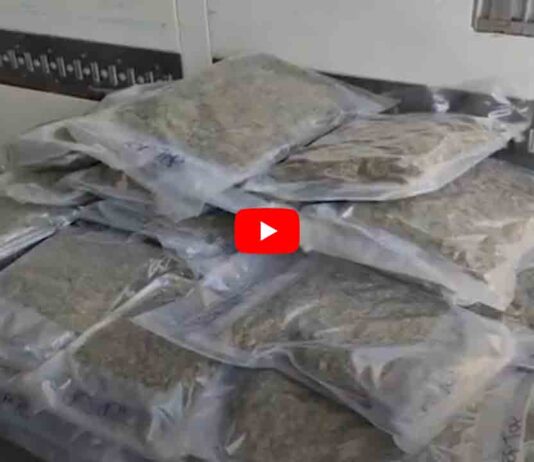 Prisión para tres hombres que transportaban marihuana en el Prat de Llobregat Prisión para tres hombres que transportaban marihuana en el Prat de Llobregat