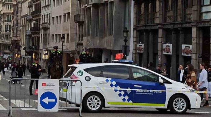 Afectaciones a la movilidad en la Diada Afectaciones a la movilidad en la Diada