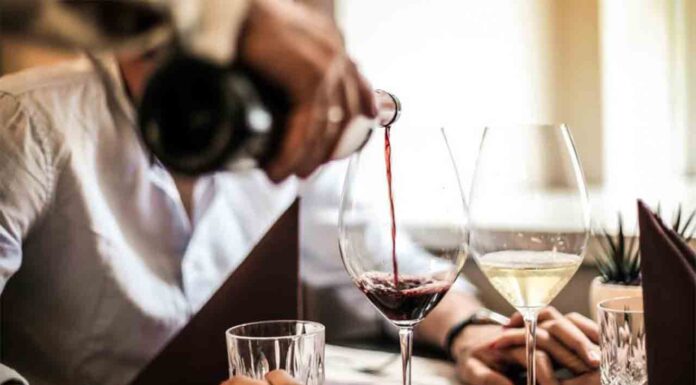 Los jardines de Palau Robert acogen la ‘Barra de Vins Catalans de la Mercè’ Los jardines de Palau Robert acogen la 'Barra de Vins Catalans de la Mercè'