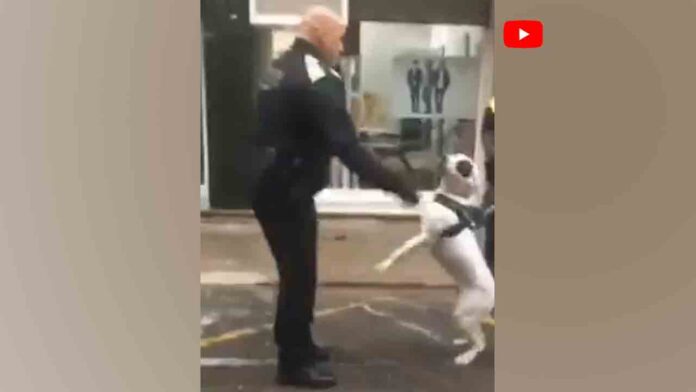 El Ayuntamiento de Terrassa investigará la agresión policial a un perro