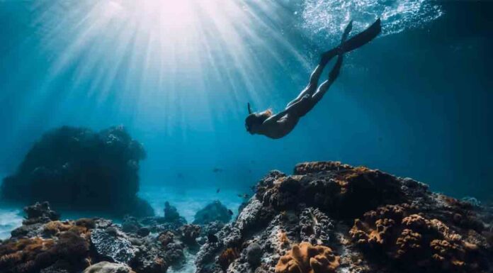 El congreso para la sostenibilidad de los océanos, por primera vez en Barcelona El congreso para la sostenibilidad de los océanos, por primera vez en Barcelona