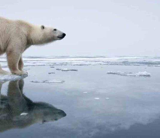 Exposición sobre el cambio climático en el Park Güell Exposición sobre el cambio climático en el Park Güell