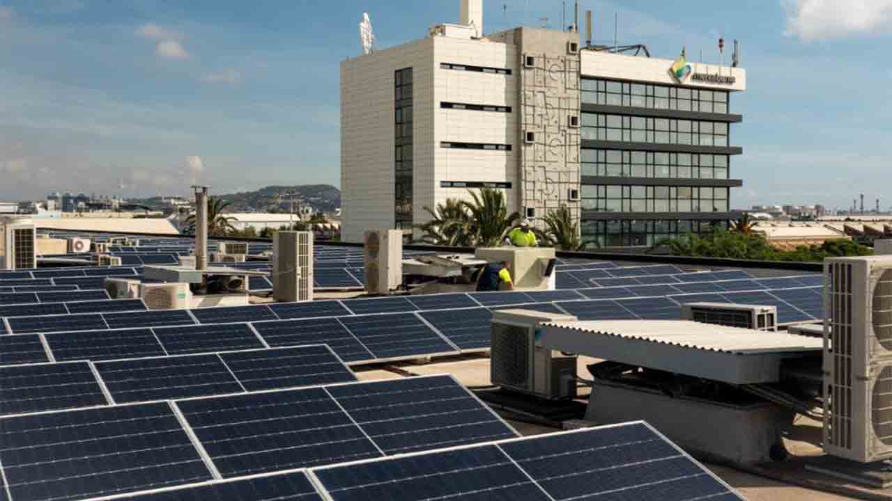 Mercabarna tendrá la planta fotovoltaica de autoconsumo más grande de la Península