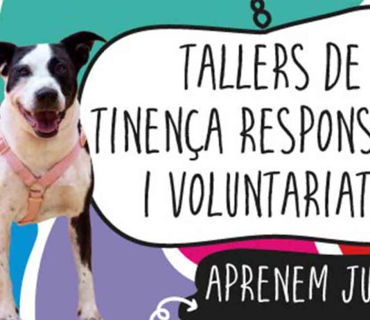 Barcelona organiza talleres de tenencia responsable de animales Barcelona organiza talleres de tenencia responsable de animales