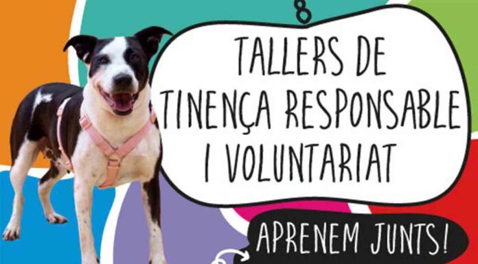 Barcelona organiza talleres de tenencia responsable de animales Barcelona organiza talleres de tenencia responsable de animales
