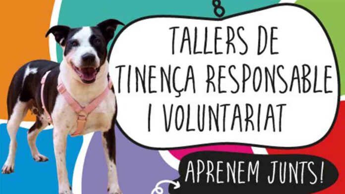 Barcelona organiza talleres de tenencia responsable de animales