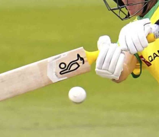 Barcelona tendrá un campo de cricket en Montjuïc Barcelona tendrá un campo de cricket en Montjuïc