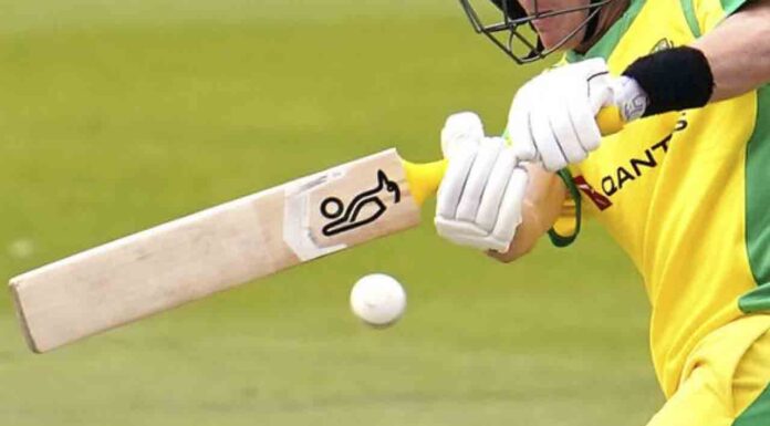 Barcelona tendrá un campo de cricket en Montjuïc Barcelona tendrá un campo de cricket en Montjuïc