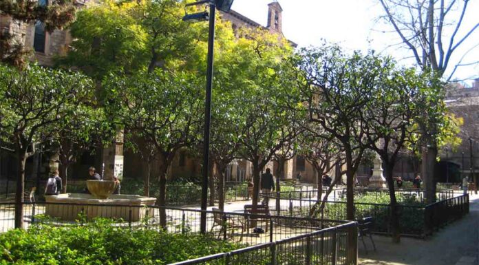 Apuñalado un hombre en El Raval este sábado a plena luz del día Apuñalado un hombre en El Raval este sábado a plena luz del día