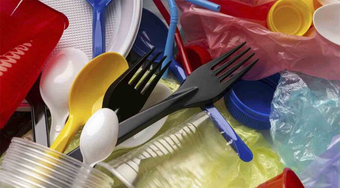 Bonificación del Ayuntamiento a los establecimientos que reduzcan plástico desechable Bonificación del Ayuntamiento a los establecimientos que reduzcan plástico desechable