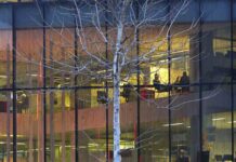 Nace Connectio, la plataforma de innovación para empresas de Barcelona Activa Nace Connectio, la plataforma de innovación para empresas de Barcelona Activa