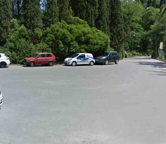 Detenido el presunto agresor que atacó con un martillo a una pareja en Montjuïc Detenido el presunto agresor que atacó con un martillo a una pareja en Montjuïc