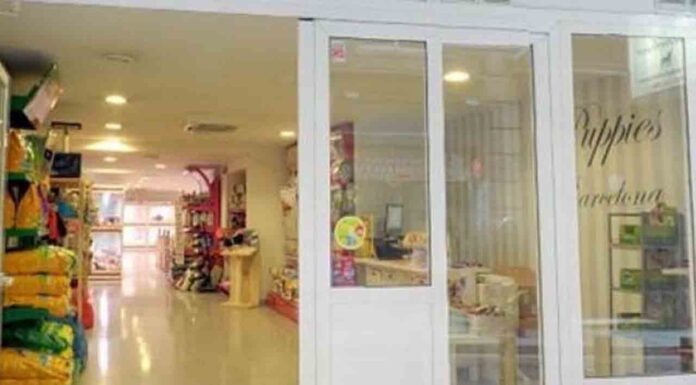 Se repetirá el juicio por maltrato animal contra la tienda Puppies Se repetirá el juicio por maltrato animal contra la tienda Puppies