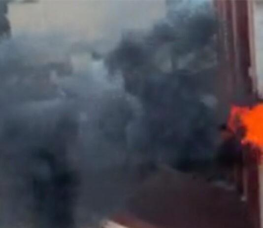Un herido y dos animales muertos por un incendio en Poblenou Un herido y dos animales muertos por un incendio en Poblenou
