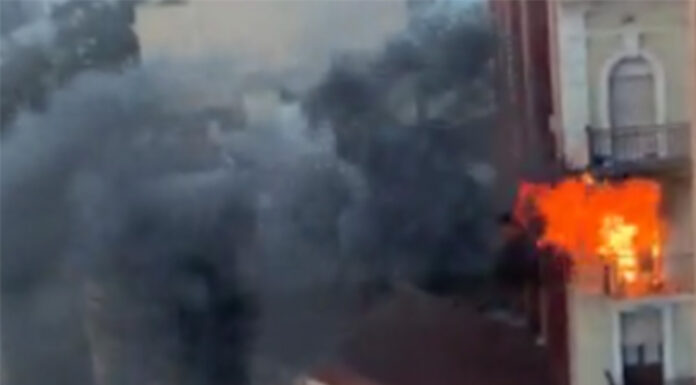Un herido y dos animales muertos por un incendio en Poblenou Un herido y dos animales muertos por un incendio en Poblenou