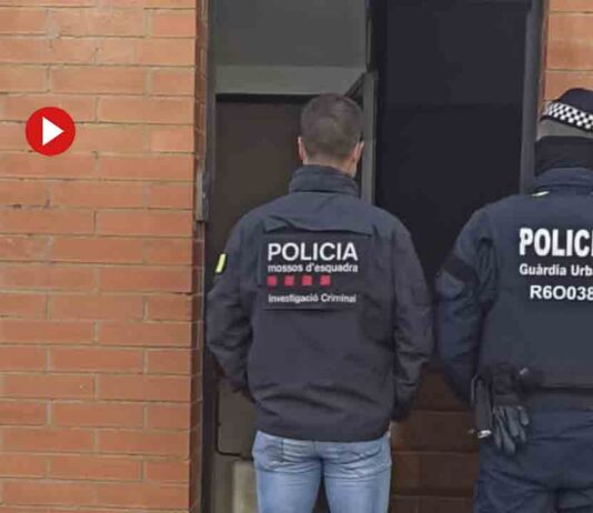 Desmantelan una plantación de marihuana en una nave en Sant Martí Desmantelan una plantación de marihuana en una nave en Sant Martí