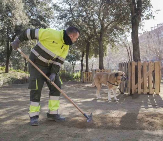 Nuevo plan de mantenimiento integral de las áreas de perros de la ciudad Nuevo plan de mantenimiento integral de las áreas de perros de la ciudad