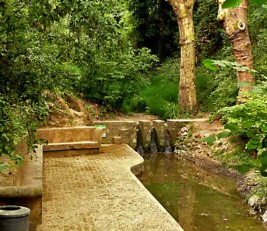 El Ayuntamiento recuperará una veintena de fuentes del Parque de Collserola El Ayuntamiento recuperará una veintena de fuentes del Parque de Collserola