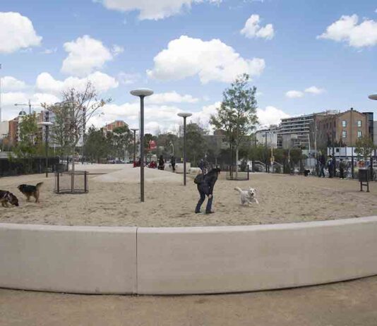 Barcelona amplía los espacios para perros fruto del proceso de exposición pública Barcelona amplía los espacios para perros fruto del proceso de exposición pública