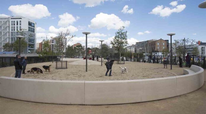 Barcelona amplía los espacios para perros fruto del proceso de exposición pública Barcelona amplía los espacios para perros fruto del proceso de exposición pública