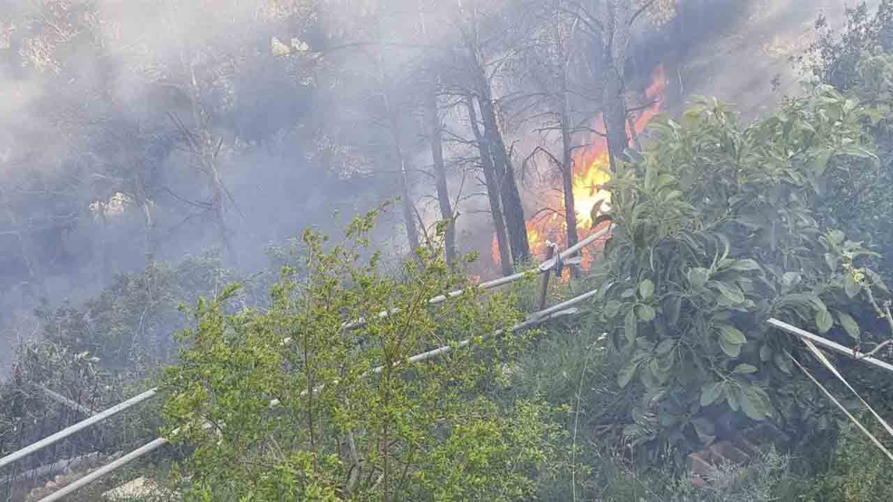 Los Bomberos intentan apagar un incendio en Vallirana, en una zona forestal