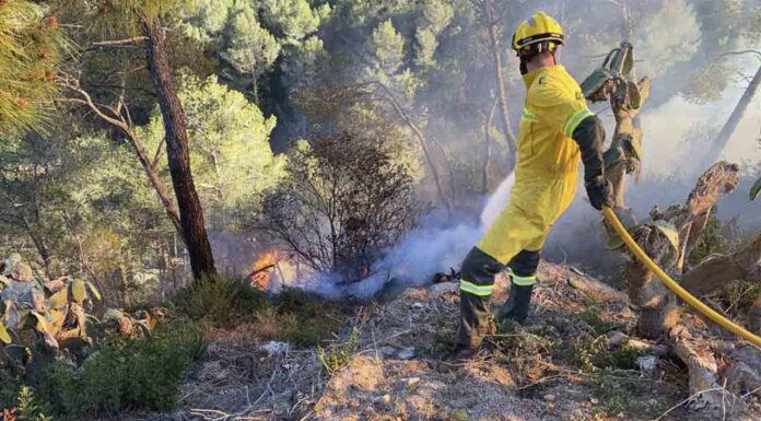 Los Bomberos intentan apagar un incendio en Vallirana, en una zona forestal Los Bomberos intentan apagar un incendio en Vallirana, en una zona forestal