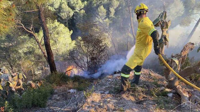 Los Bomberos intentan apagar un incendio en Vallirana, en una zona forestal