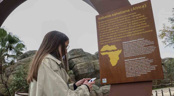 Las visitas al Zoo y al Park Güell serán más inclusivas gracias a dos Apps Las visitas al Zoo y al Park Güell serán más inclusivas gracias a dos Apps