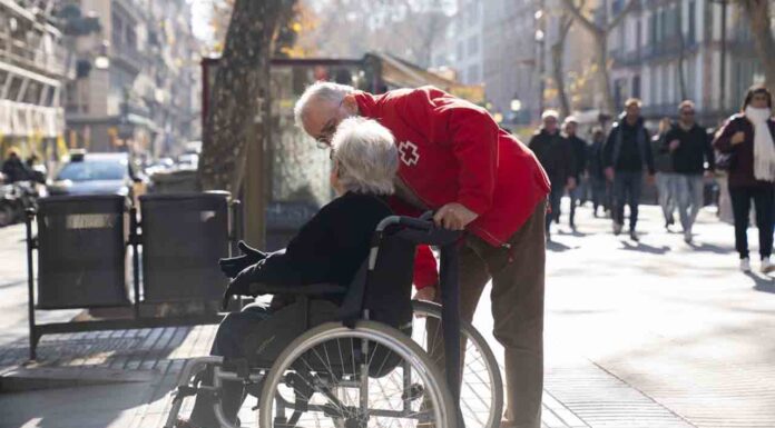 Servicios de transporte y acompañamiento durante la jornada electoral Servicios de transporte y acompañamiento durante la jornada electoral