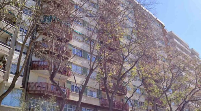 Ayuntamiento y Generalitat debatirán sobre la revocación de licencias turísticas Ayuntamiento y Generalitat debatirán sobre la revocación de licencias turísticas