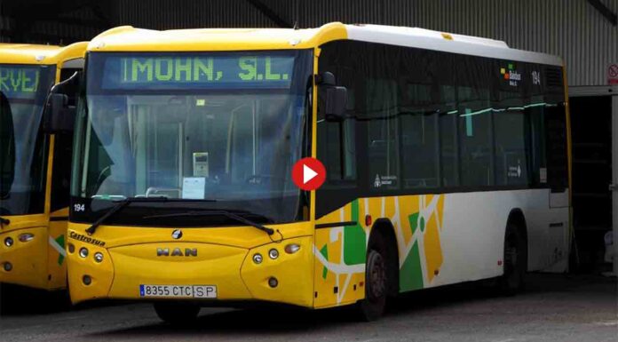 Cuatro detenidos por los ataques a los autobuses de Avanza Cuatro detenidos por los ataques a los autobuses de Avanza