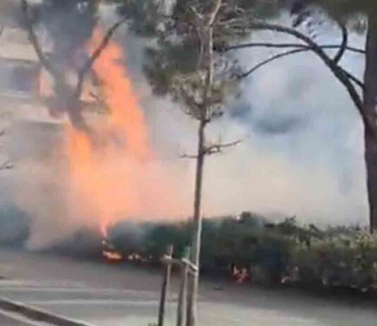 Vídeo | Incendio en los Jardines de Can Mantega, en Sants Incendio en los Jardines de Can Mantega, en Sants