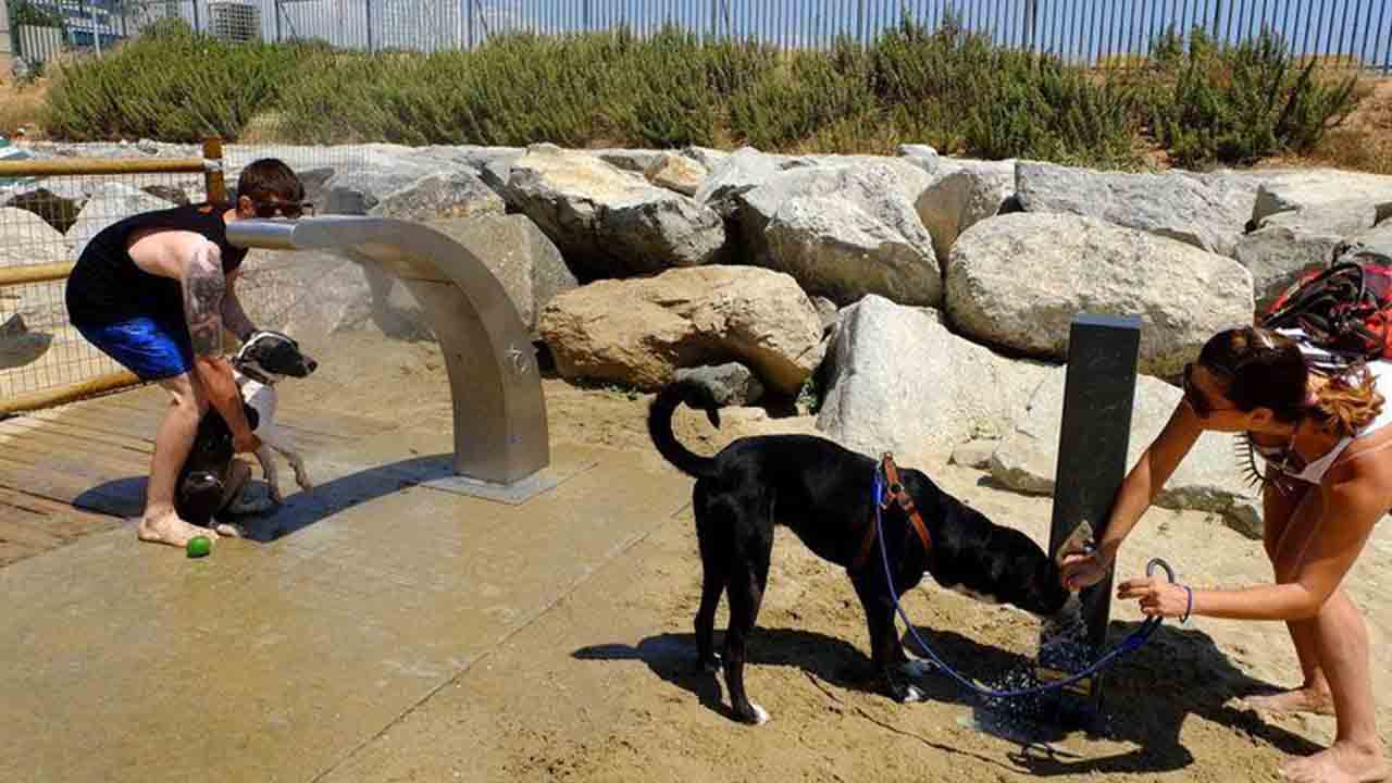 Más espacio para los usuarios en las playas para perros en Barcelona