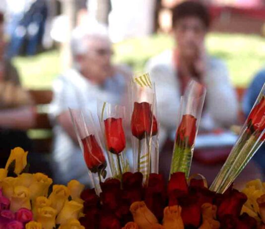 Vive Sant Jordi en Nou Barris – 2023 Vive Sant Jordi en Nou Barris - 2023
